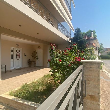 Cozy & Quiet City Apartment Tríkala Zewnętrze zdjęcie