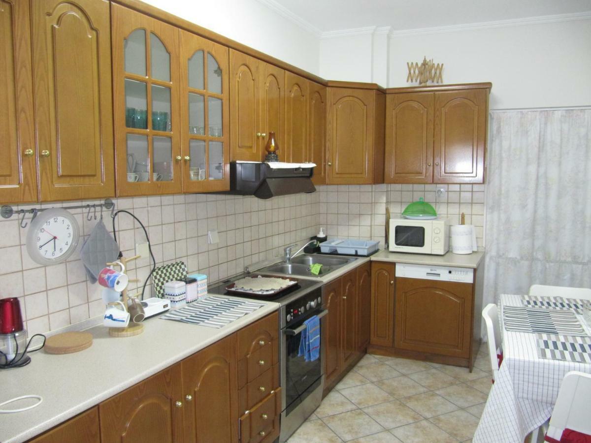 Cozy & Quiet City Apartment Tríkala Zewnętrze zdjęcie