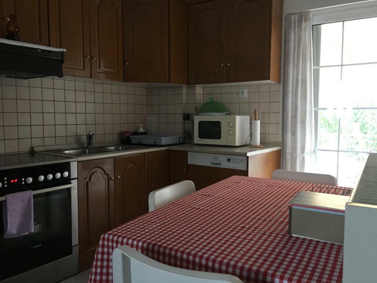 Cozy & Quiet City Apartment Tríkala Zewnętrze zdjęcie